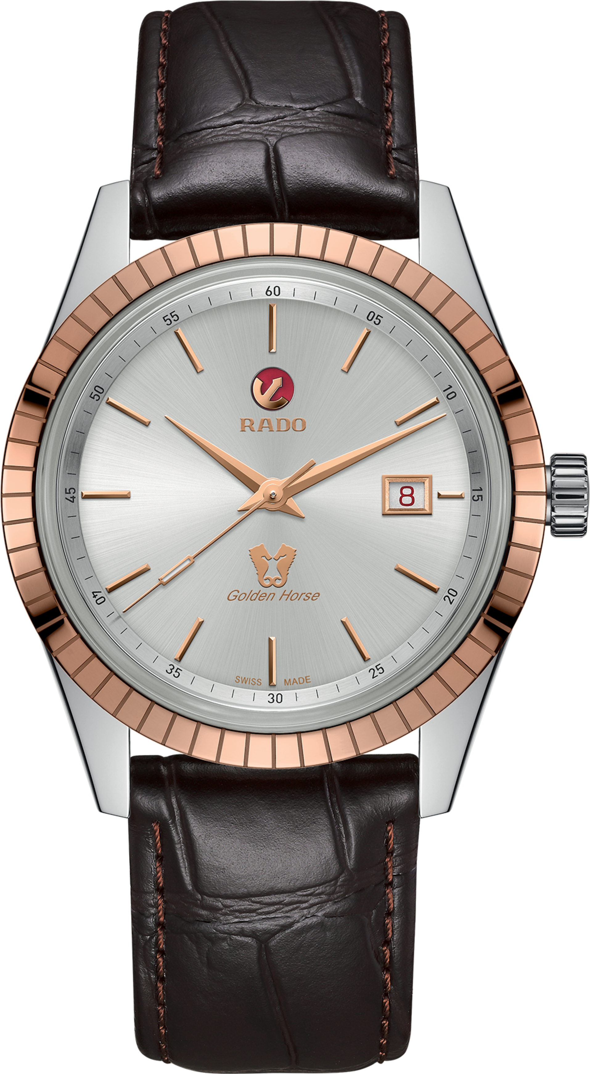 Pánské hodinky Rado Golden Horse R33100015 | Tovys.cz
